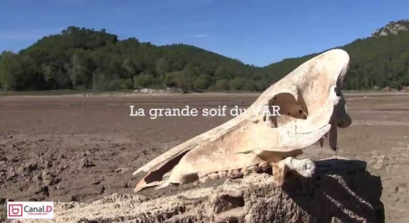 Sècheresse : Le Lac de Carcès et la Nartuby à sec !
