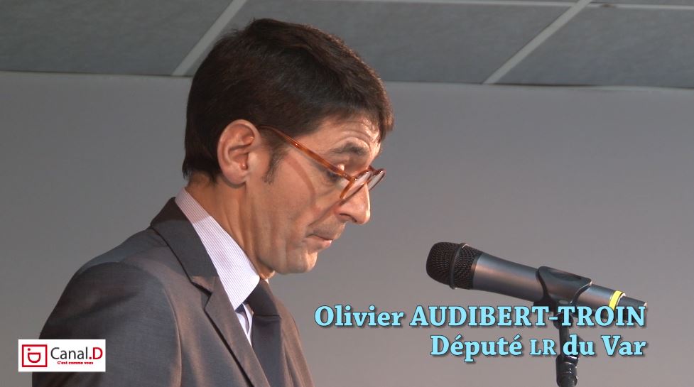 Olivier Audibert-Troin : Voeux parlementaires pour 2017