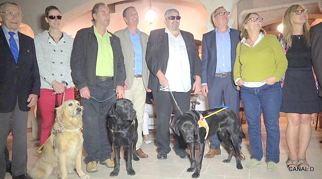 Bienvenue LARSEN ! Nouveau chien guide d’aveugle à Draguignan