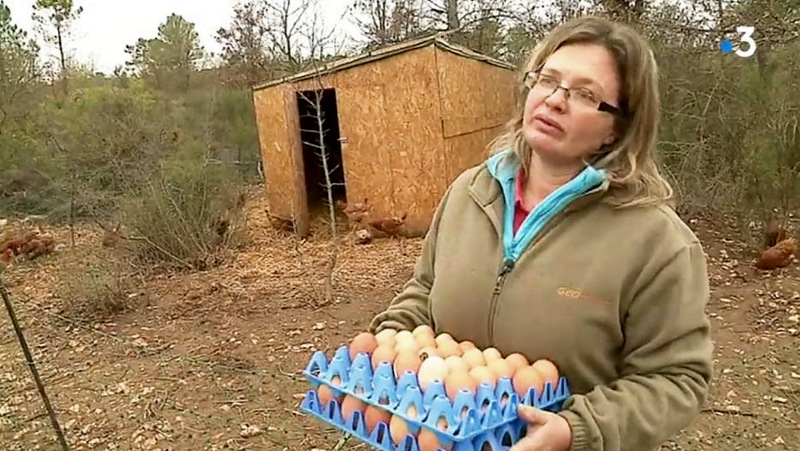 Changement de vie : Ex-secrétaire commerciale, une Varoise se reconvertit dans l’élevage de poules