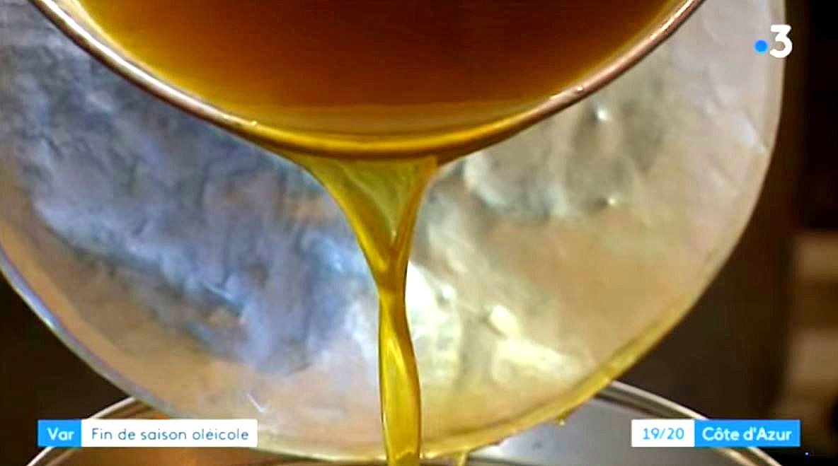 Draguignan : Une production d’huile d’olive en demi-teinte