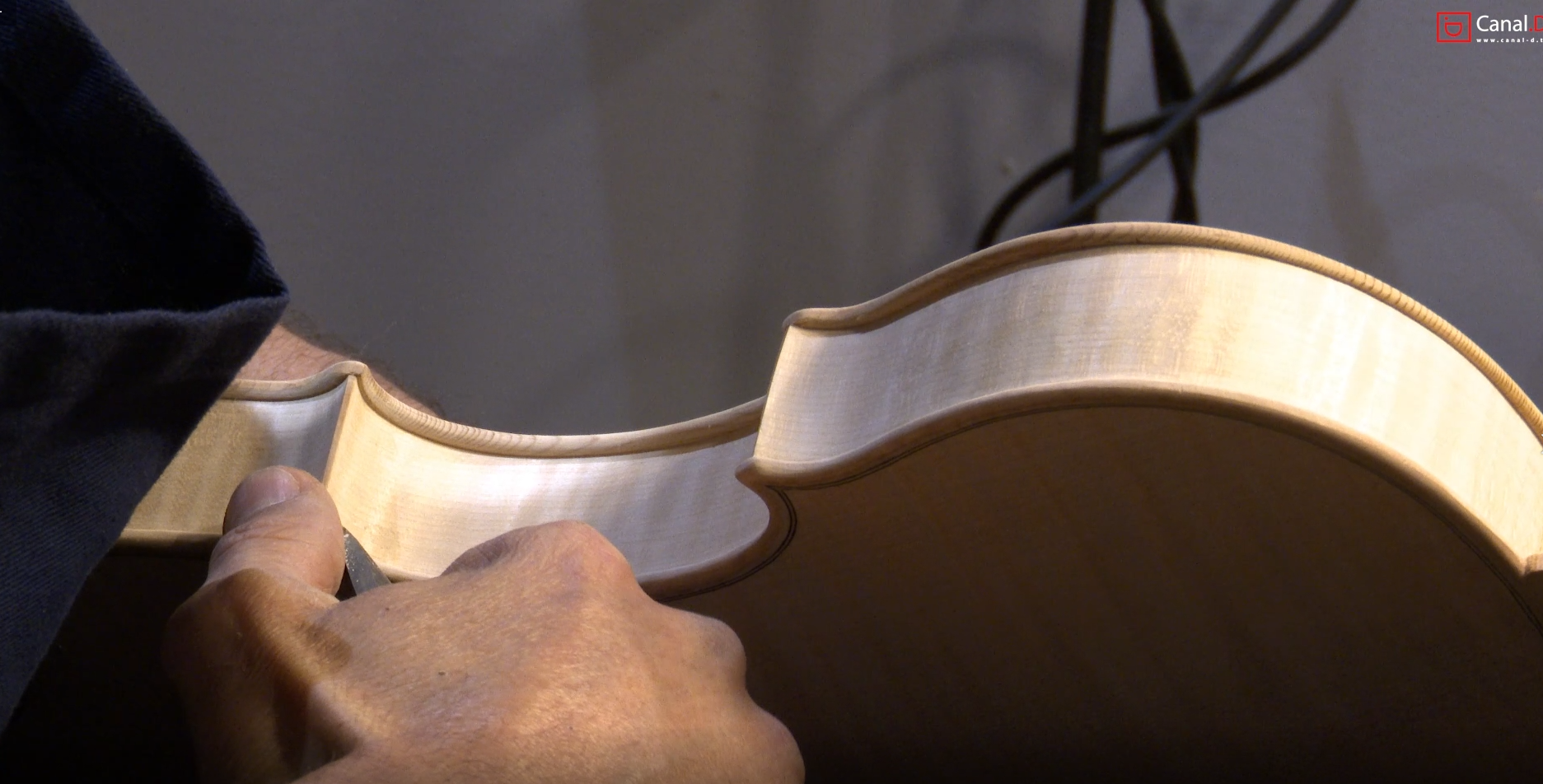Les Luthiers OLIVIERI : Du bois et des âmes