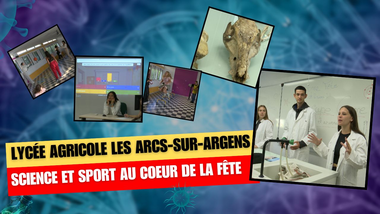 Fête de la science : On se muscle le cerveau ! - Canal.D