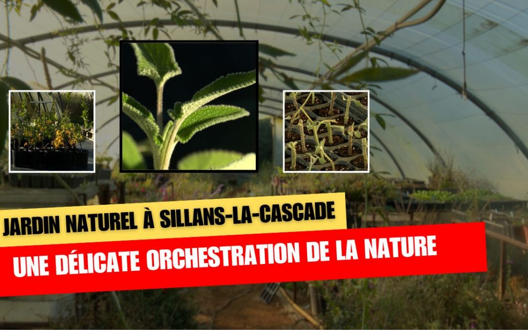 Jardins naturels : un retour aux sources à Sillans-la-Cascade