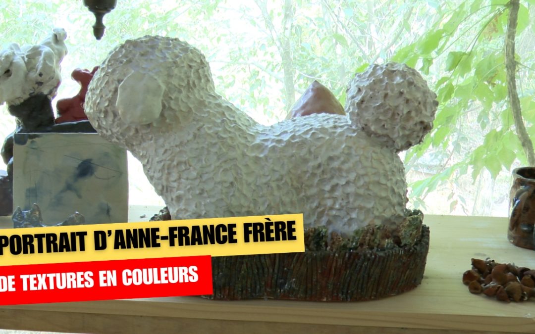 ANNE-FRANCE FRÈRE : DE TEXTURES EN COULEURS