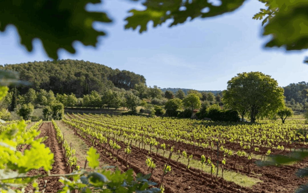 Le Clos d’Alari, une passion transmise de mère en fille